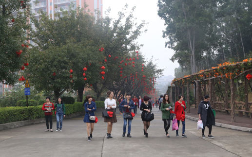 Hiking under Spring Sunlight, Traveling on Women��s Day in Delight