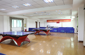 Table tennis arena