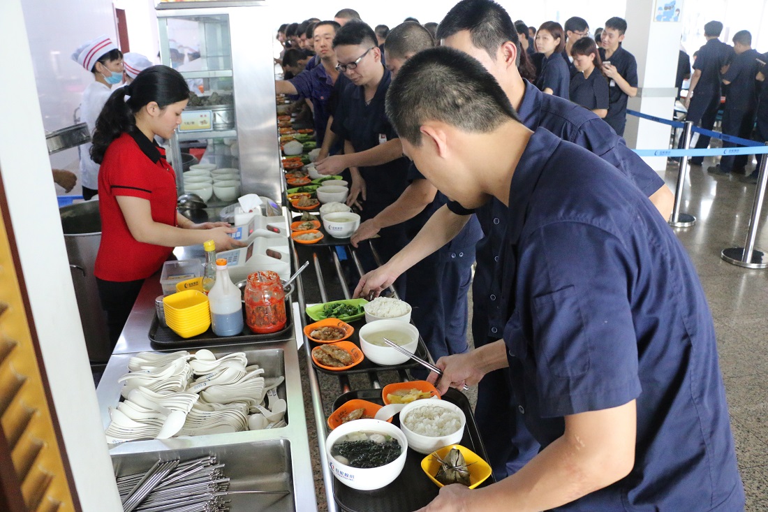 ����������  ŨŨ������